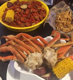 Cajun Critters