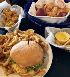 Cajun Critters