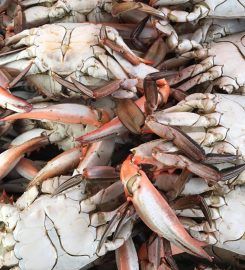 Main Pass Seafood