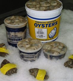 Motivatit Seafoods