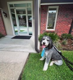 Ellender Orthodontics